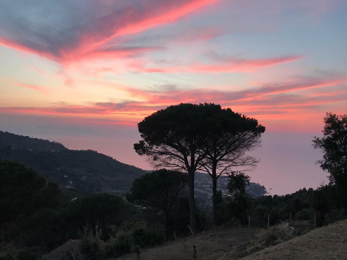 Incantevole Villa Con Vista Mozzafiato Чефалу Екстериор снимка