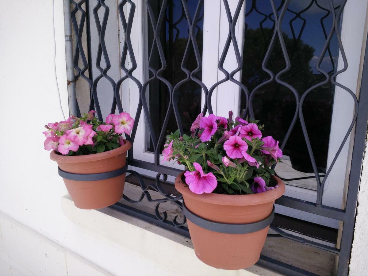Incantevole Villa Con Vista Mozzafiato Чефалу Екстериор снимка